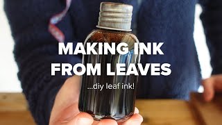 Making Ink From Leaves... DIY Leaf Ink! by Cory Morrison 270,521 views 1 year ago 6 minutes, 48 seconds