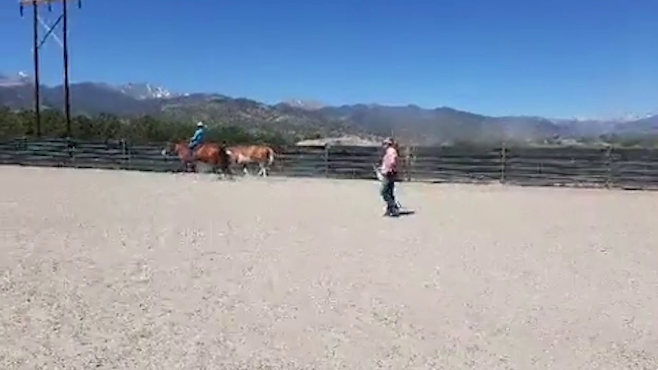 Julie Explains How to Pony a Horse