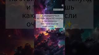 Отчисти мысли