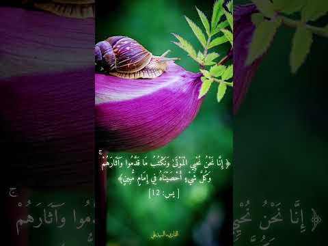 ونكتب ما قدموا وآثارهم  قرآن كريم اكسبلور  