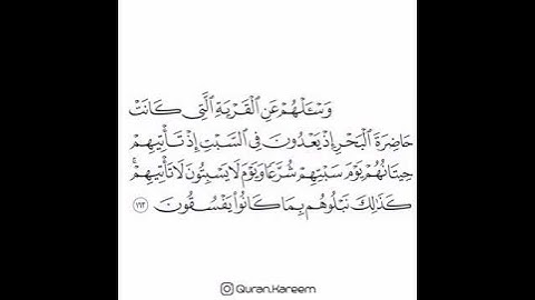 القارئ ماهر المعيقلي - سورة الأعراف - الآية 163
