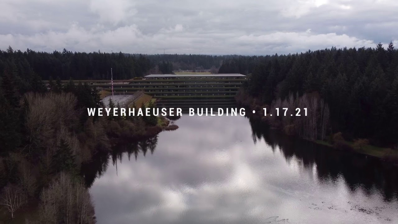 Weyerhaeuser Building YouTube