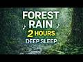 Forest Rain on Leaves ASMR | 2 Hours Relaxing Rain Sounds for Sleeping, Studying, Meditation