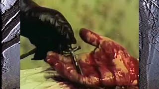 Ruby da Cherry - KILL YOURSELF Part II: THE BLACK $UEDE SAGA