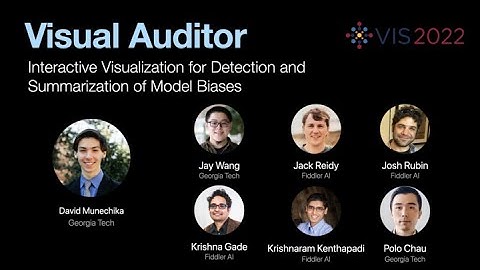Visual Auditor: Interactive Visualization for Detection and Summarization of Model Biases