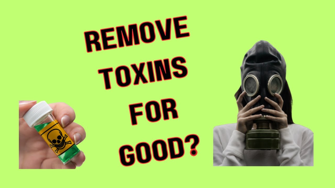 How to remove toxins for good. Where toxins are coming from, how to ...