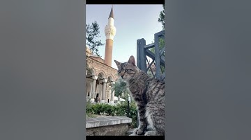 سورة الحاقة آيات ١-١٠, Surah Al-Haqqah versets 1-10