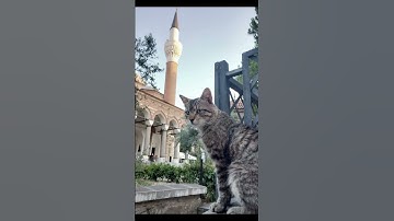سورة الحاقة آيات ١-١٠, Surah Al-Haqqah versets 1-10
