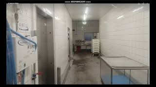bandicam 2026 08 03 18 01 11 457