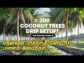 Installation of Drip Irrigation System for 200 Coconut Trees💧🌴 #dripirrigation #plumber #agriculture