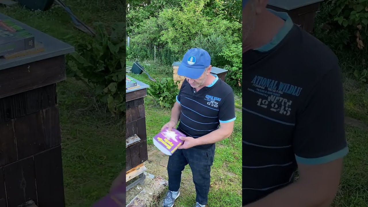 Uczulenie na jad pszczeli, 