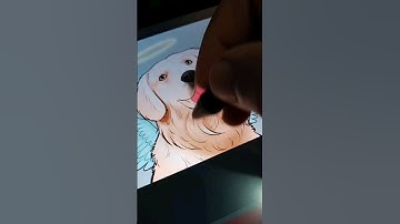 #dog #pets #shorts #drawing #digitalart