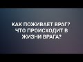 КАК ЖИВЕТ ВРАГ? ЧТО ПРОИСХОДИТ В ЖИЗНИ ВРАГА?