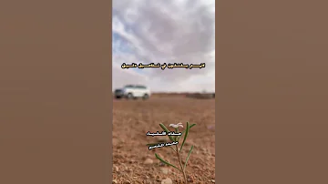 صفات الأنقياء محمد المقحم 