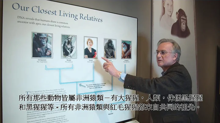 Richard Dawkins: Why are there still Chimpanzees? - Nebraska Vignettes #2 繁體字幕 20170911