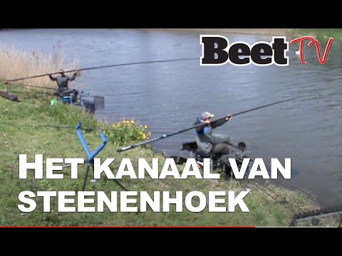 Video: Beet Met Vis