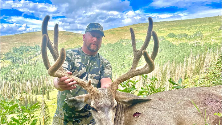ARCHERY MULE DEER HUNT - UTAH 2022.  Opening weekend SUCCESS!
