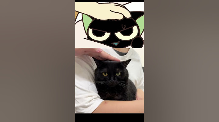 【#一只黑糖啵啵】也是让我养到漫画里走出来的小猫了 #罗小黑 #黑猫 #金牌育言家#聪明小脑袋国宝也可AI