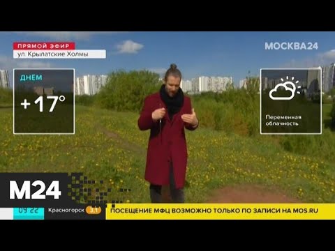 "Утро": синоптики сообщили о потеплении до +20 градусов - Москва 24
