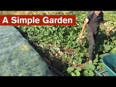 A More Resilient Simple Garden