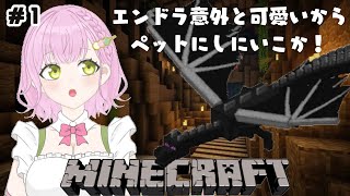 【 Minecraft 】ついにエンドラ討伐への一歩踏み出すか！！！【花森こまり/HanamoriKomari】