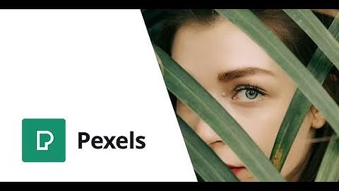 Pexels - Import Free Stock Images into WordPress By AA-Team