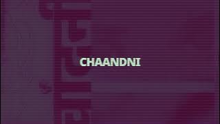 CHAANDNI - SUFR, ADIL ( SLOWED & REVERB )