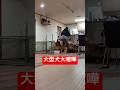大型犬が突然大喧嘩しました…