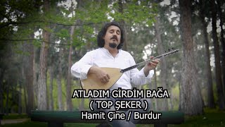 Atladım Girdim Bağa Resimi