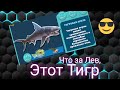 Hungry Shark/Мифический Окунь как найти/Карта стоит ли купить/Тигровая Акула/5 затонувших предметов.