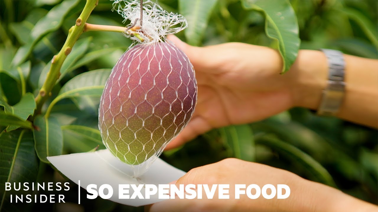 ⁣Why Miyazaki Mangoes Are So Expensive | So Expensive Food | Business Insider