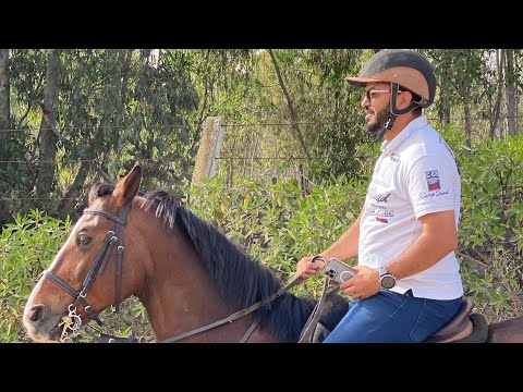 ولست بهياب لمن لا يهابني