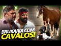 BRUXARIA COM CAVALOS? | RICHARD RASMUSSEN