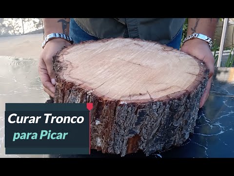 Video: ¿Para qué se utiliza el pino taco?