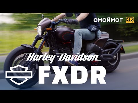 Видео: Harley-Davidson FXDR 114 — ОТВАЛ БАШКИ | Обзор Омоймот