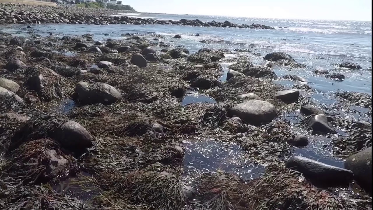 Hampton Beach Fishing 2018 YouTube