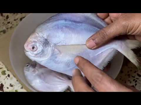 पापलेट कसे साफ करायचे ? How to cut & clean pomfret fish at home