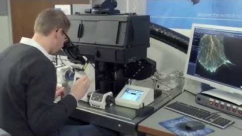 cellVivo Incubation System