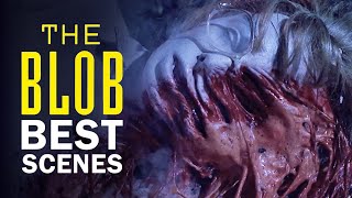 The Blobs Best Scenes