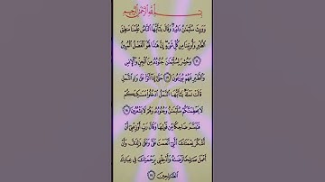 تلاوة خاشعة وآيات عظيمة بصوت الشيخ محمد الفقيه 🇾🇪#انشروا_القران #اكتب_شي_توجر_عليه #اكسبلور