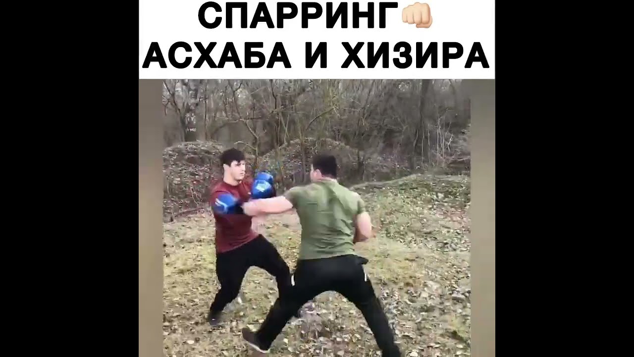 Асхаб Тамаев и Хизир Дожимкантов жёстко подрались