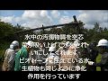 キュウソネコカミ 空芯菜 歌詞 動画視聴 歌ネット キュウソネコカミ 空芯菜 歌詞 動画視聴 歌ネット