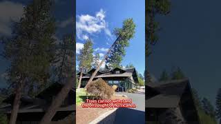 Ya Allah Haktir Allah Allahin Salami Olsun Allahin Bəndələri̇nə