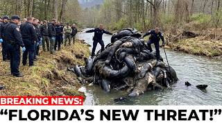 Biologist Affirms: “It’s Hunting Humans” — Florida’s New Predator Is Terrifying