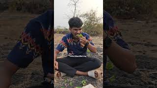 कच्ची करवंदा😋#minivlog #konkanpremi #vlog