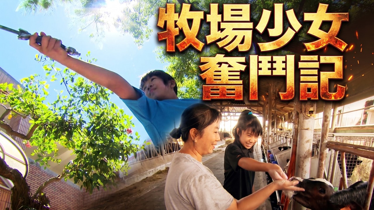 首次成果展現！ 牧場少女奮鬥記～ #寶島神很大  #武術 #暑假