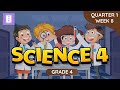 Music and Sound Effects Quiz