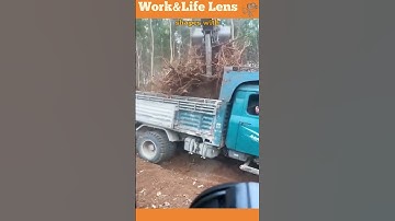 Excavator with thumb clears stumps efficiently, gripping debris precisely, ideal for land clearing.