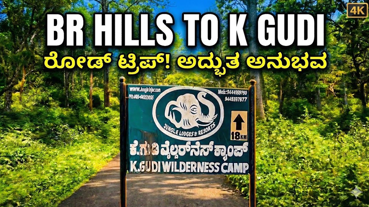 ಬಿ.ಆರ್ ಹಿಲ್ಸ್ ಟು ಕೆ.ಗುಡಿ.. ಕಾಡಿನ ದಾರಿಯಲ್ಲಿ ಅದ್ಭುತ ಪಯಣ! 🌿 | BR Hills to K Gudi Road Trip