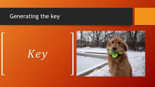 Using a Hill Cipher With Images